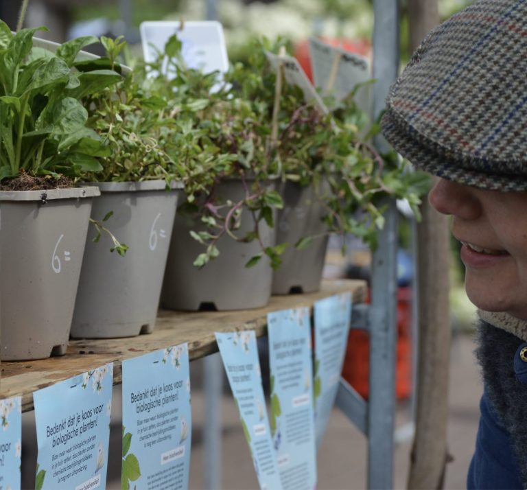 Groenmarkt met gifvrije tuinplanten